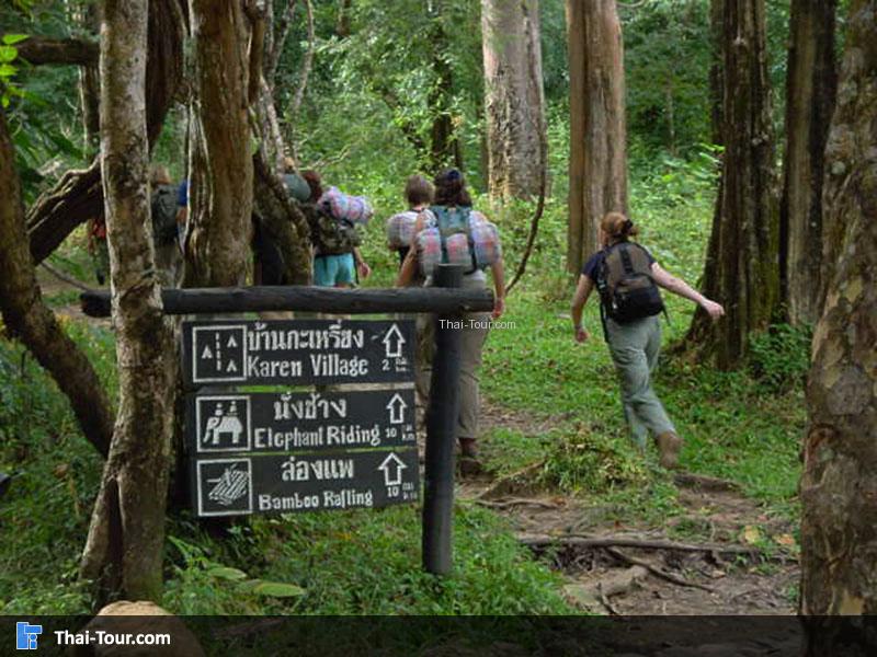 โป่งเดือดป่าแป๋