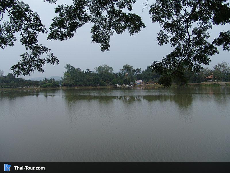หนองบัวพระเจ้าหลวง