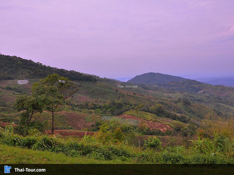 หรือชมทะเลหมอกกันใกล้ๆ