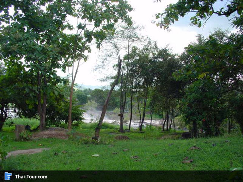 บรรยากาศดีดี หญ้าสีเขียว