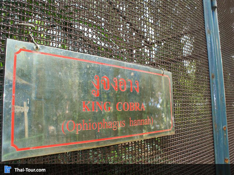 สวนงู สภากาชาดไทย