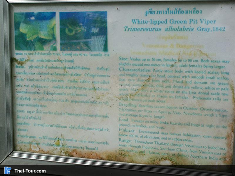 สวนงู สภากาชาดไทย