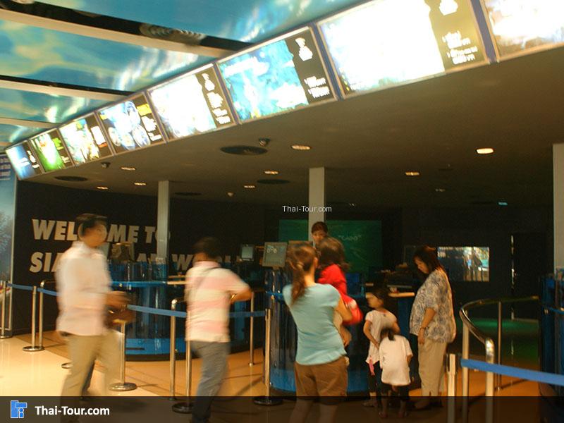 จุดซื้อบัตร