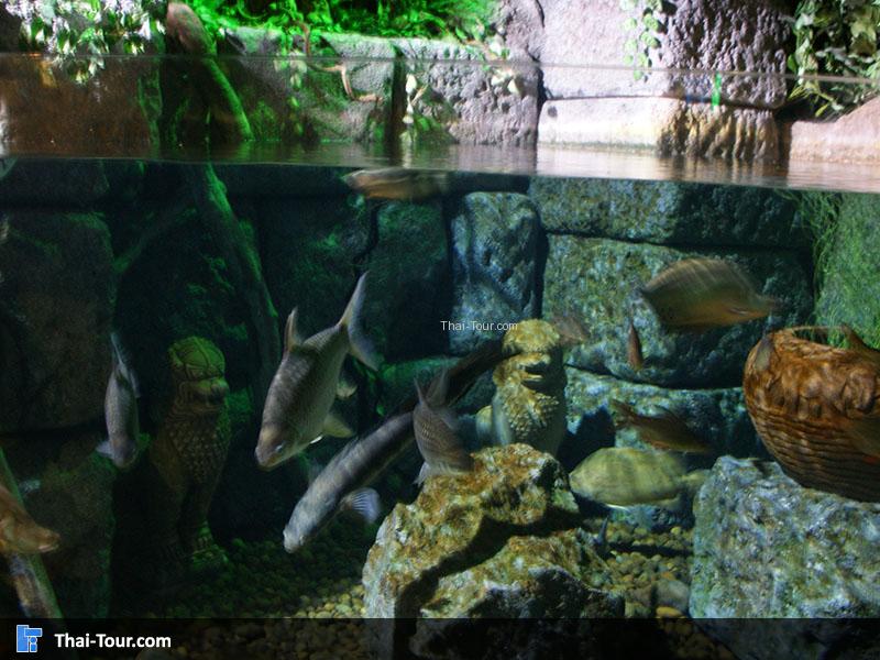 SEA LIFE Bangkok Ocean World 