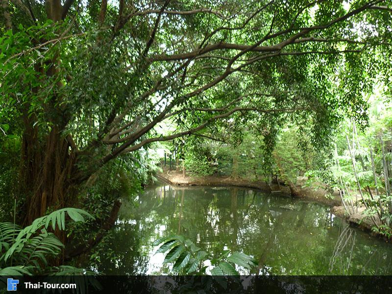 วังสวนผักกาด