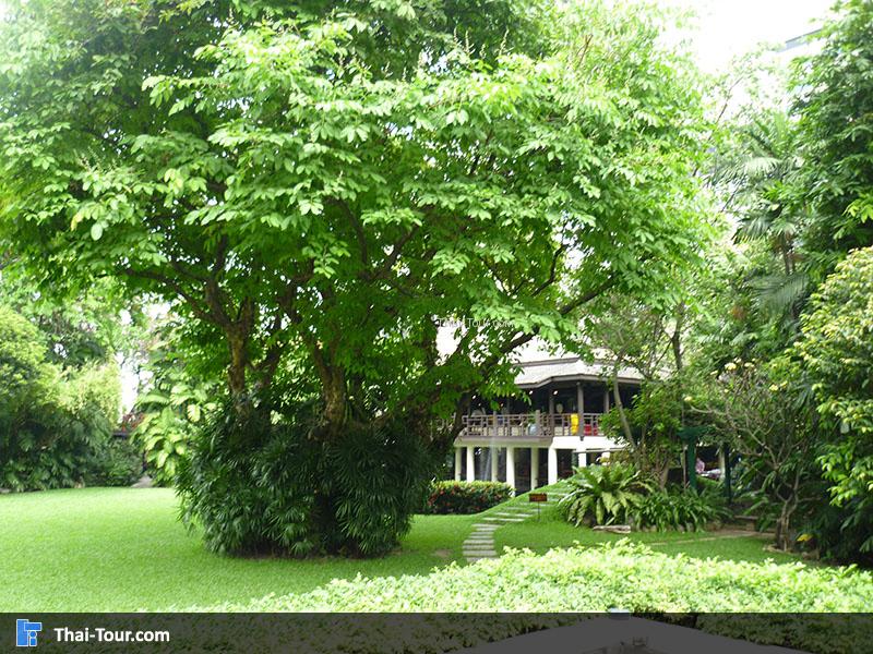 วังสวนผักกาด