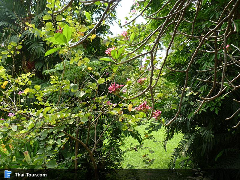 วังสวนผักกาด