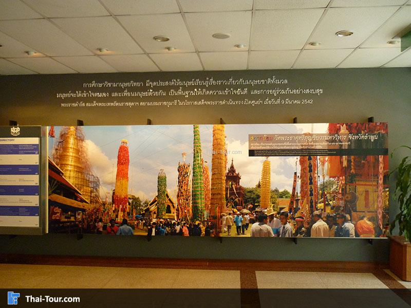 ศูนย์การศึกษาวิชามานุษยวิทยา