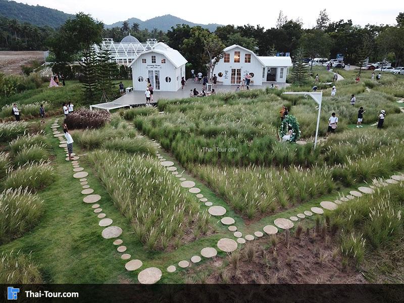 ภาพมุมสูง Memory House Cafe HuaHin