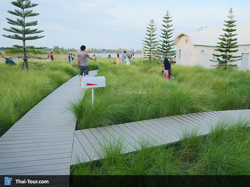 สะพานเดินถ่ายภาพ