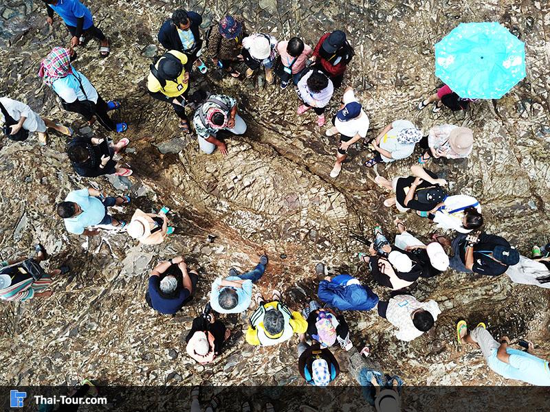 ภาพมุมสูง เกาะกวาง สตูล