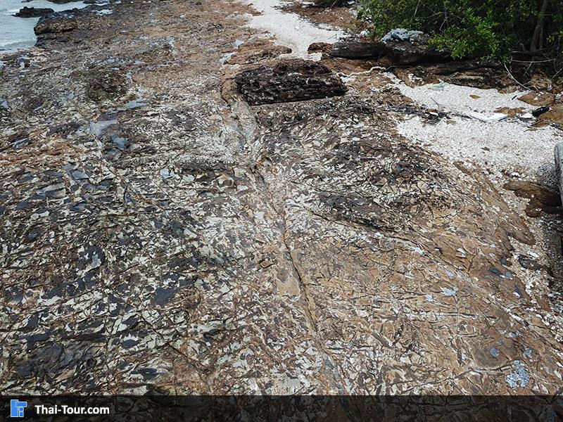 หาดหินเหล็ก