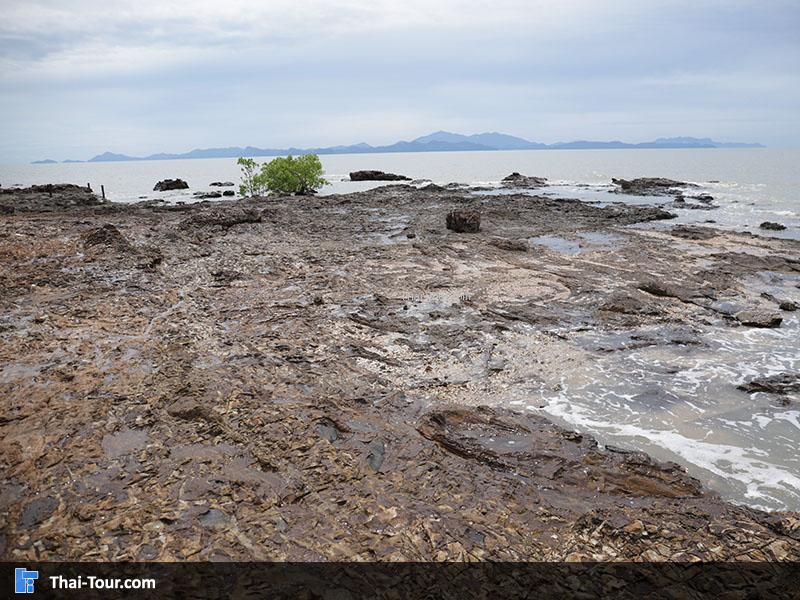 หาดหินเหล็ก