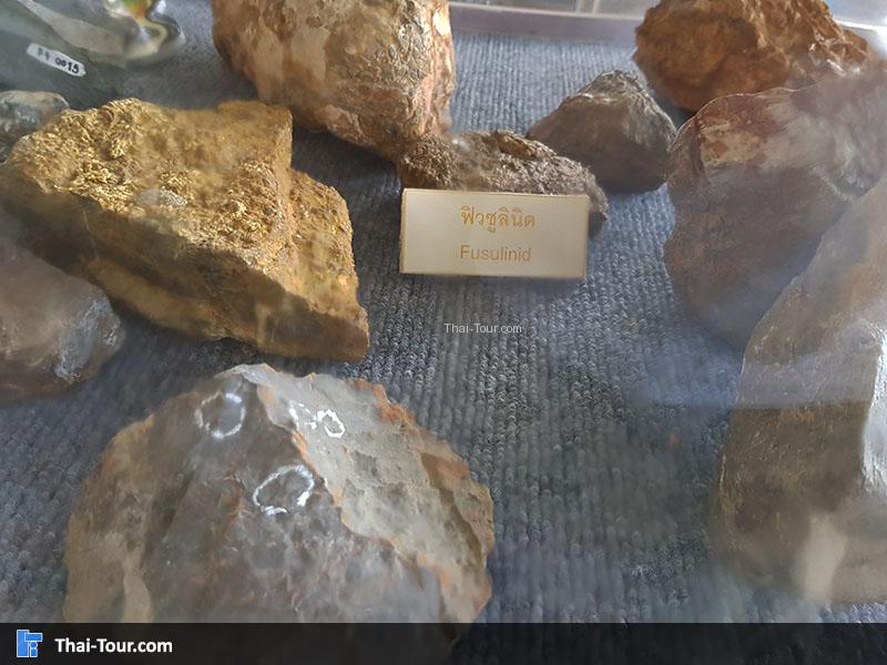 ฟิวซูลินิค