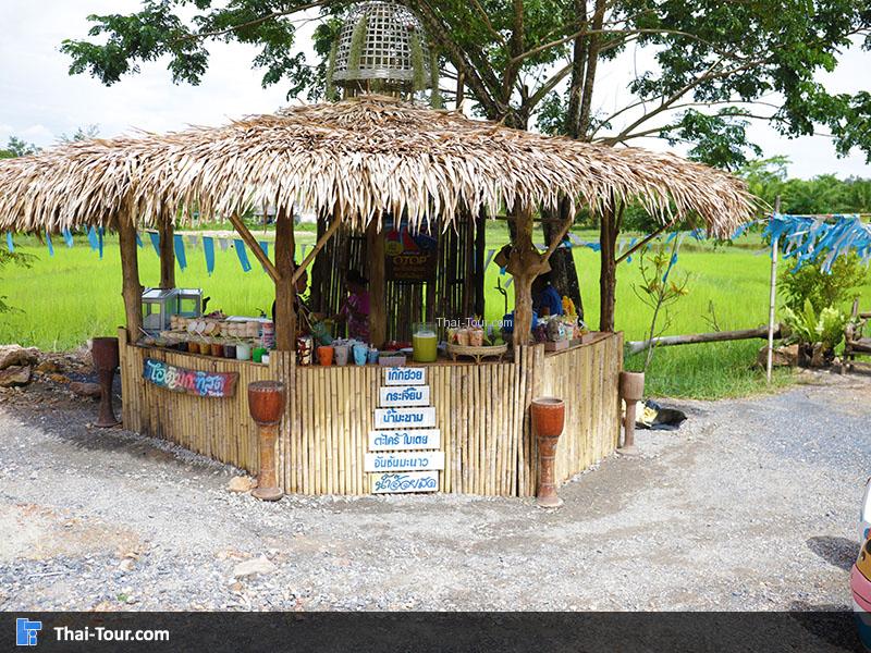 จุดขายของ นาโปแก