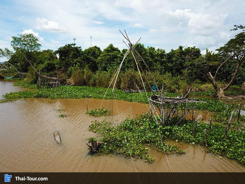 ภาพมุมสูง ศรีปากประ ยอยักษ์