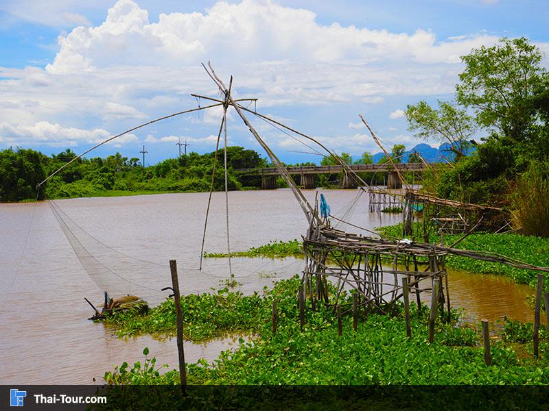 ศรีปากประ ยอยักษ์