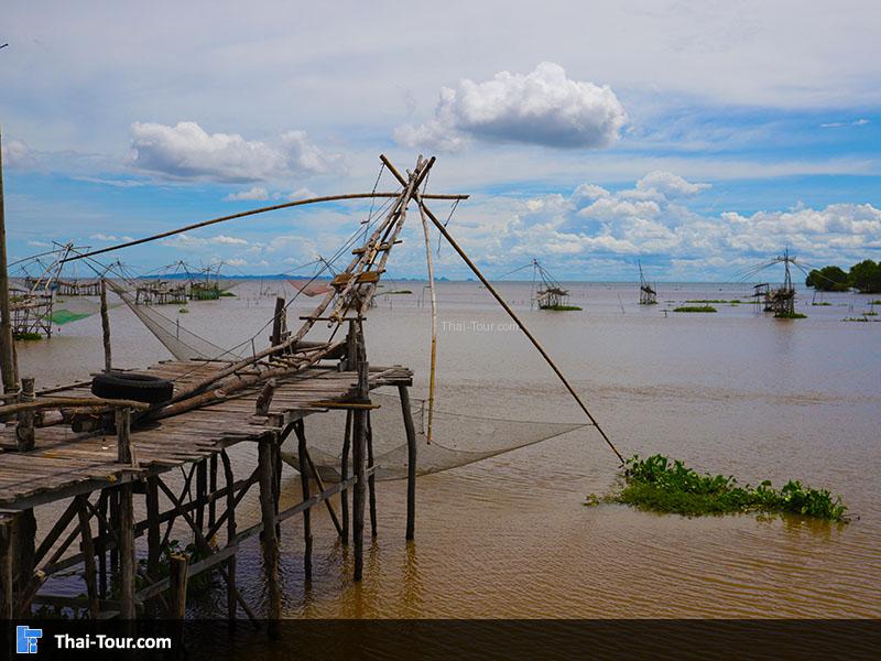 ไฮไลท์ของ ศรีปากประ ยอยักษ์