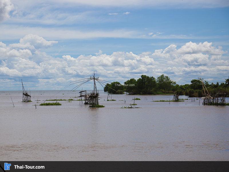 ศรีปากประ ยอยักษ์