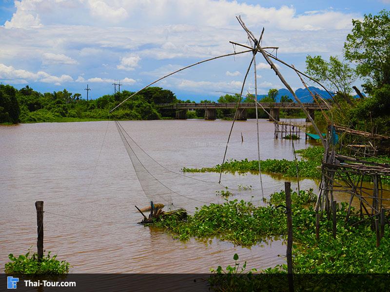 ศรีปากประ ยอยักษ์