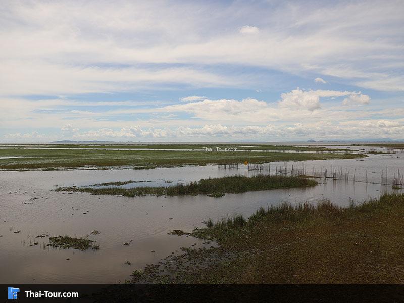 ภาพมุมสูง สะพานเอกชัย