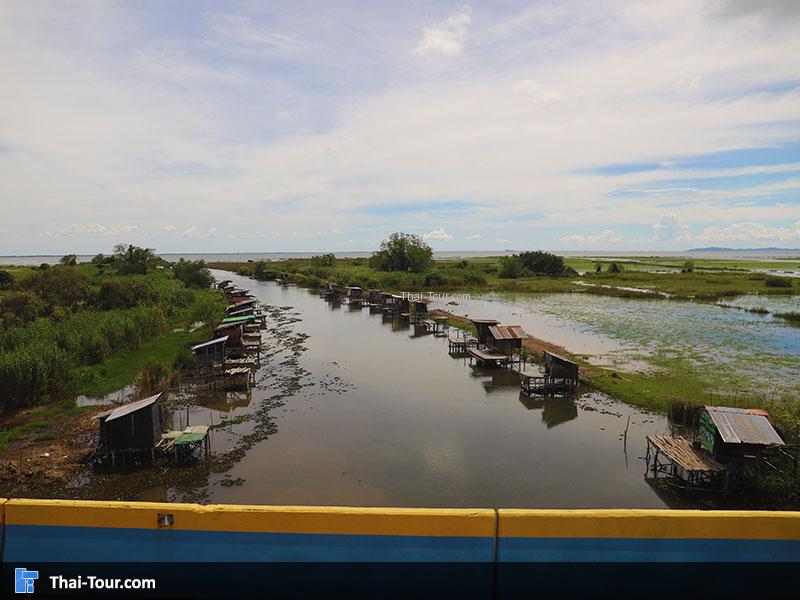 ภาพมุมสูง สะพานเอกชัย