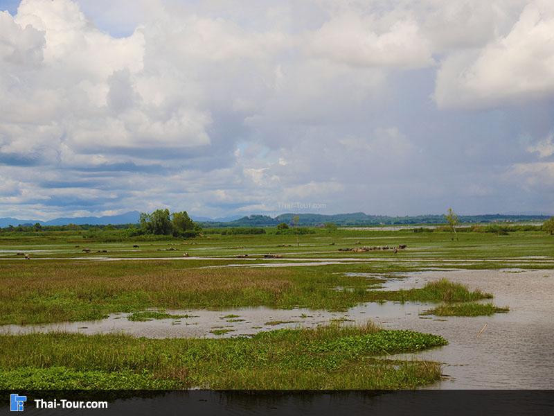 วิวสวยๆ สะพานเอกชัย