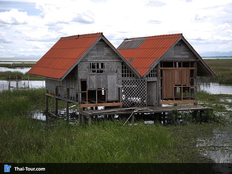 วิวสวยๆ สะพานเอกชัย