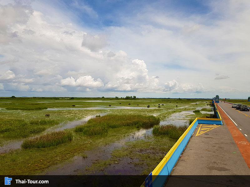 วิวสวยๆ สะพานเอกชัย