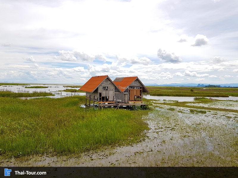 วิวสวยๆ สะพานเอกชัย