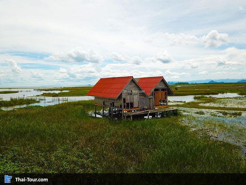 วิวสวยๆ สะพานเอกชัย