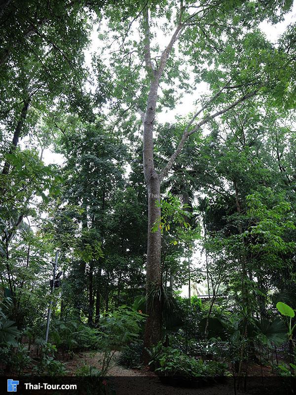 บรรยากาศรอบๆ กลุ่มทอผ้านาหมื่นศรี