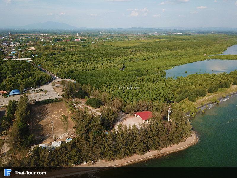 ภาพมุมสูง ทุ่งโปร่งทอง