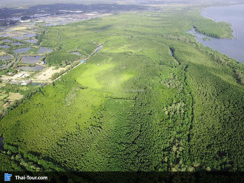 ภาพมุมสูง ทุ่งโปร่งทอง