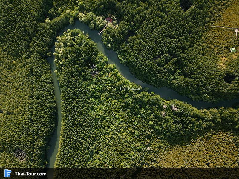 ภาพมุมสูง ทุ่งโปร่งทอง