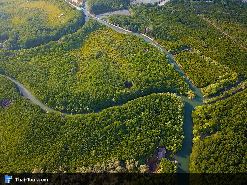 ภาพมุมสูง ทุ่งโปร่งทอง