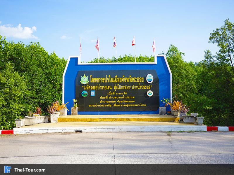 โครงการป่าในเมืองระยอง