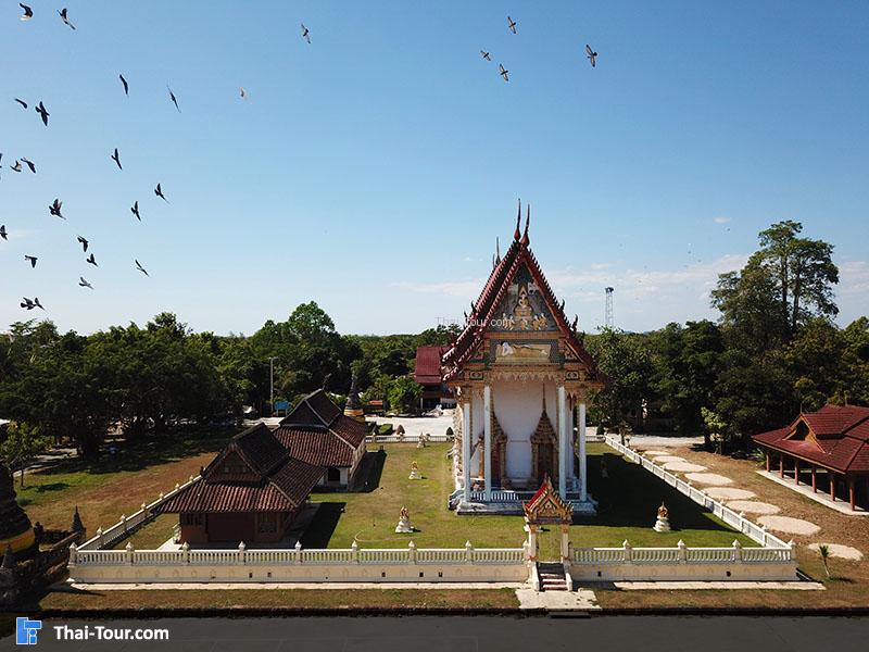 วัดทองทั่ว