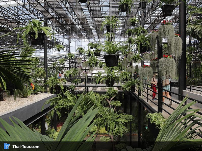 บรรยากาศนด้านในสวนนงนุช