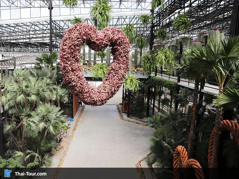 บรรยากาศนด้านในสวนนงนุช