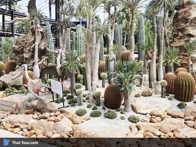 บรรยากาศนด้านในสวนนงนุช