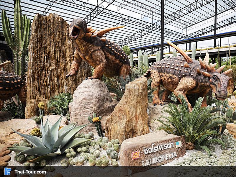 บรรยากาศนด้านในสวนนงนุช