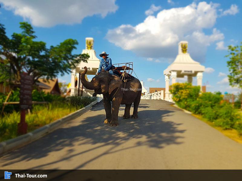 ด้านหน้า เลเจนด์ สยาม