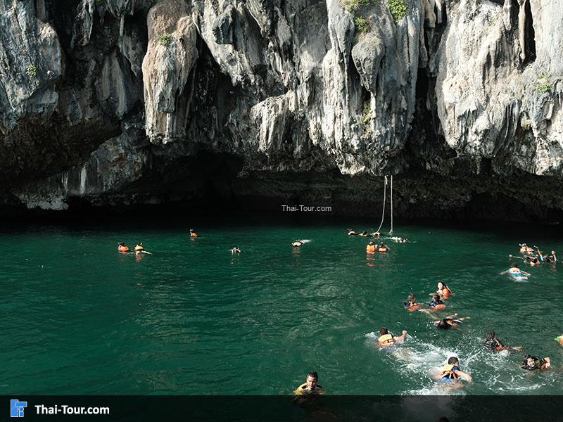 จุดดำน้ำเกาะเชือก