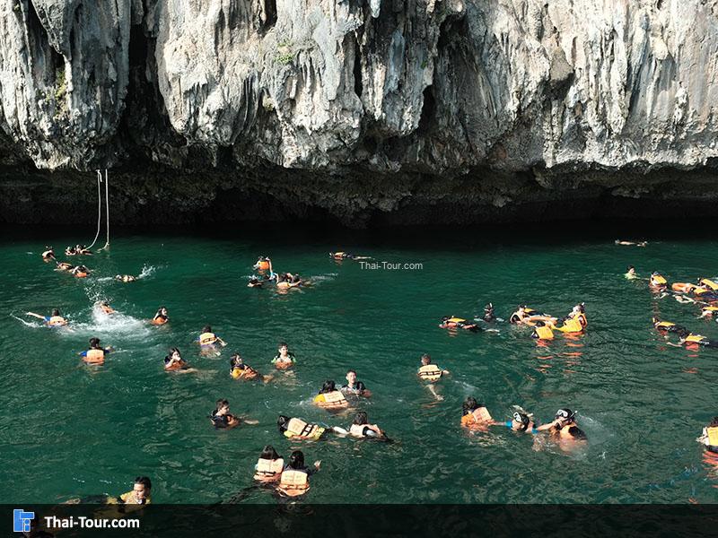 จุดดำน้ำเกาะเชือก