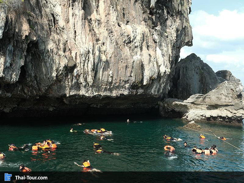 จุดดำน้ำเกาะเชือก