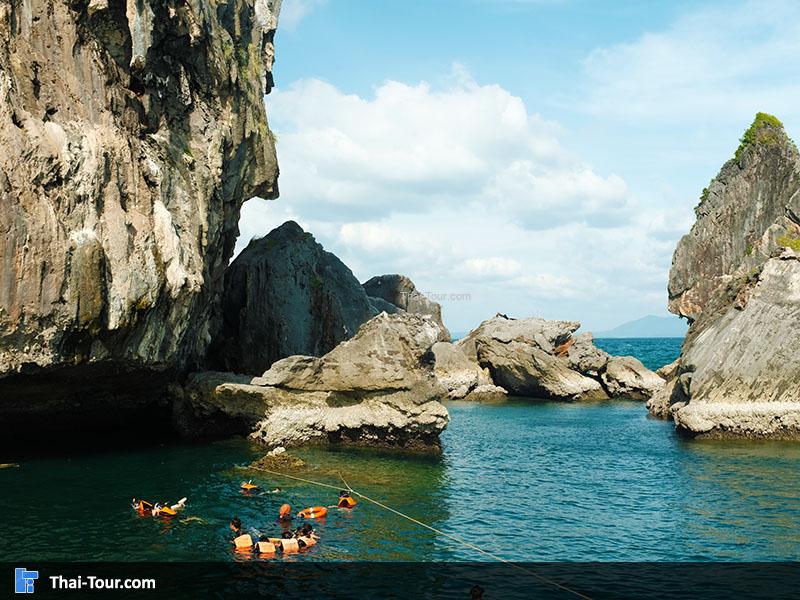 จุดดำน้ำเกาะเชือก