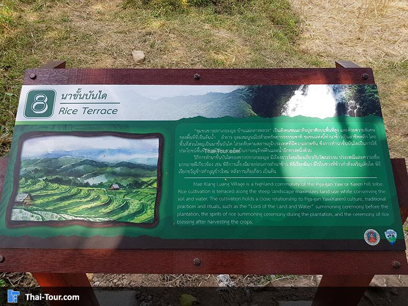 ทางเดินป่าน้ำตกผาดอกเสี้ยว