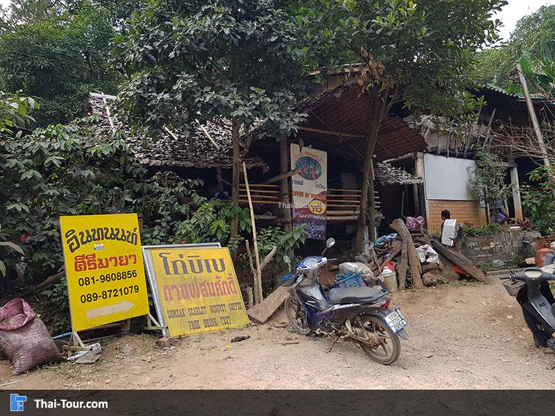 ทางเดินป่าน้ำตกผาดอกเสี้ยว