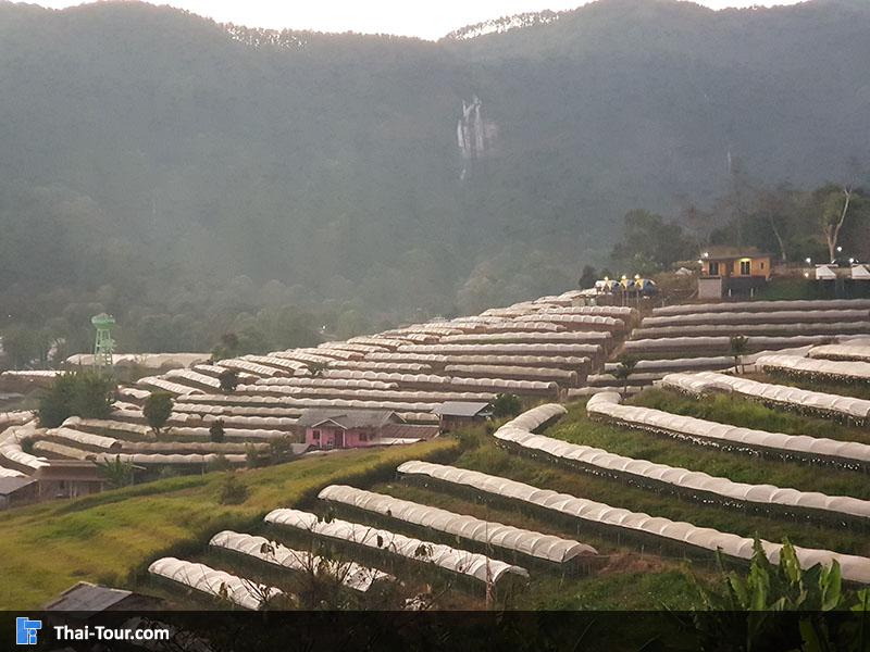 ภาพมุมสูงบ้านขุนกลาง